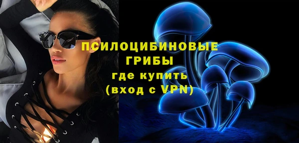 ГАЛЛЮЦИНОГЕННЫЕ ГРИБЫ Армянск