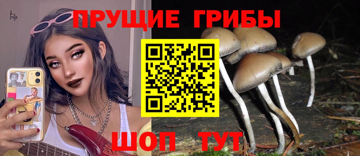 Лсд 25 Старый Оскол