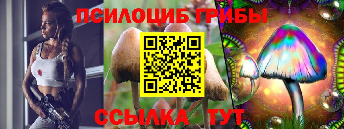 Псилоцибиновые грибы прущие грибы  Вход с VPN  Старый Оскол 